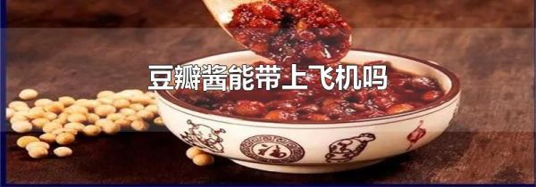 豆瓣醬能帶上飛機(jī)嗎