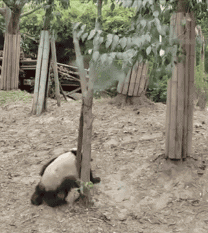 javascript - 怎么學會遞歸？