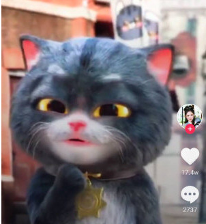 抖音斑布貓動態壁紙如何設置？ 斑布貓動態壁紙設置教程解答！