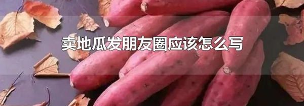 賣地瓜發朋友圈應該怎么寫