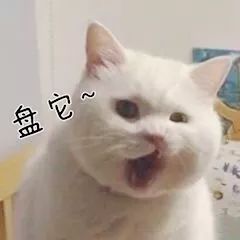 抖音我想盤他表情包有哪些 抖音我想盤他表情包介紹