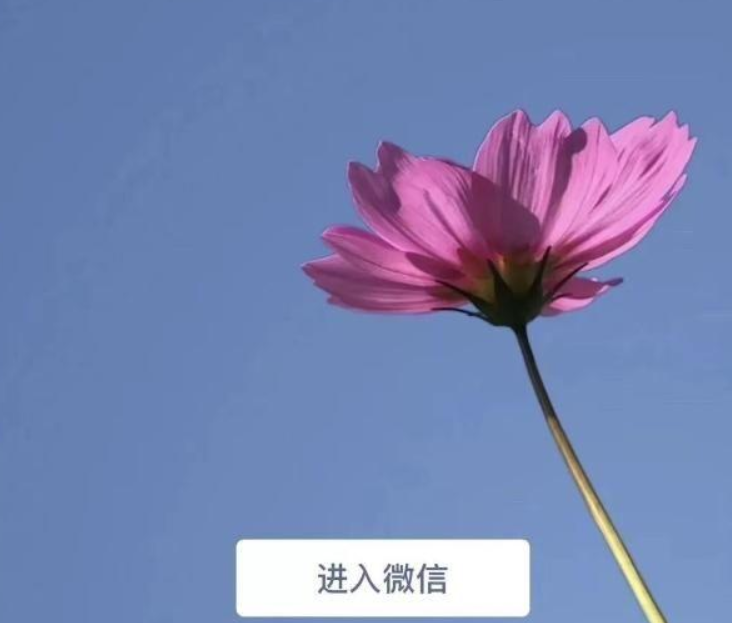 微信7.0后悔更新了如何恢復？微信7.0后悔更新后恢復方法教程解答！