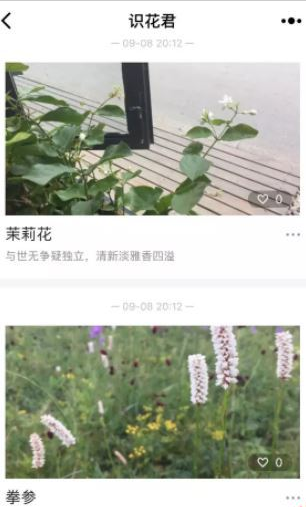 微信app小程序中的識花君怎么用？微信app小程序中的識花君用法介紹！
