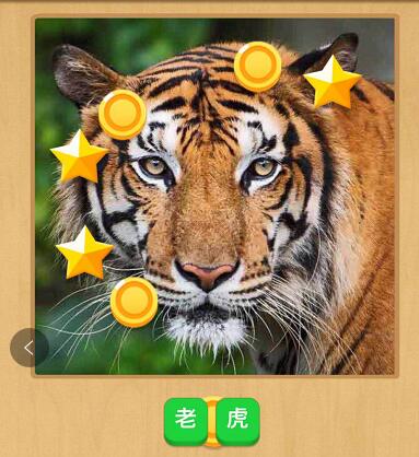 微信小程序中猜猜圖小游戲正確答案是什么？微信小程序中猜猜圖小游戲正確答案一覽！