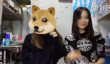 抖音甩狗頭是什么歌 抖音狗頭特效在哪里弄