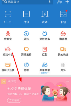 支付寶AR識花怎么用 支付寶AR識花玩法教程