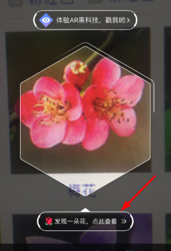 支付寶AR識花怎么用 支付寶AR識花玩法教程