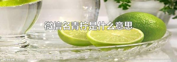 微信名青檸是什么意思
