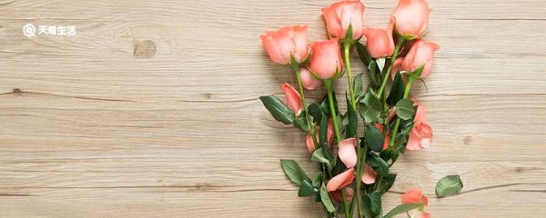 七月的第一天怎么發(fā)朋友圈 七月的第一天朋友圈文案