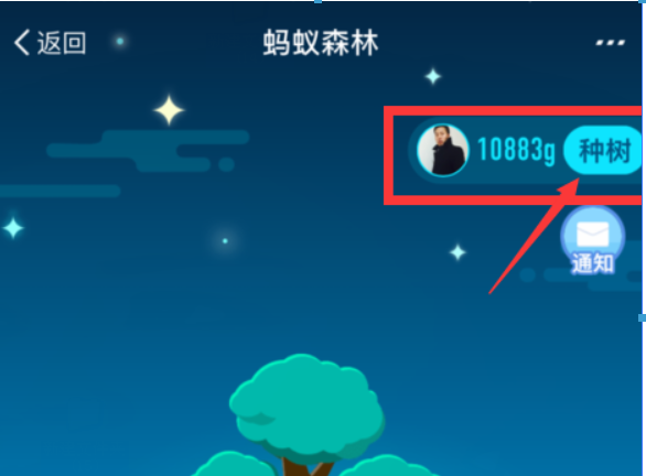 支付寶螞蟻森林環保證書如何領取？螞蟻森林環保證書領取攻略介紹！