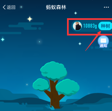 支付寶獲取螞蟻森林環(huán)保證書具體操作步驟
