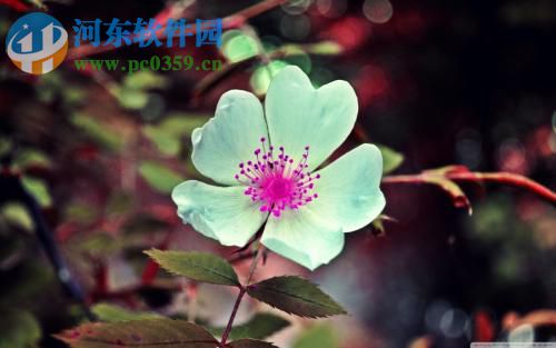 win7提升開機速度的方法