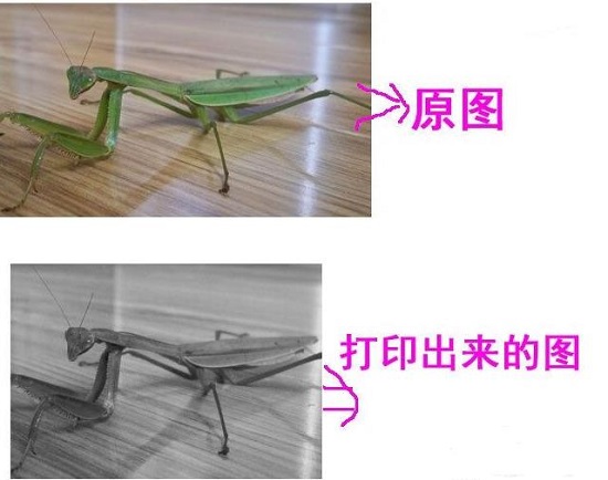 win10打印圖片打印不全解決方法