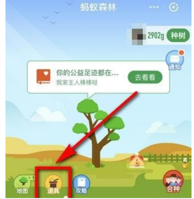 支付寶積分兌換保護(hù)罩方法 支付寶多少積分兌換保護(hù)罩