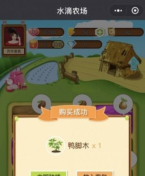 微信水滴農場游戲怎么樣  水滴農場紅包可以提現嗎