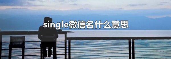 single微信名什么意思
