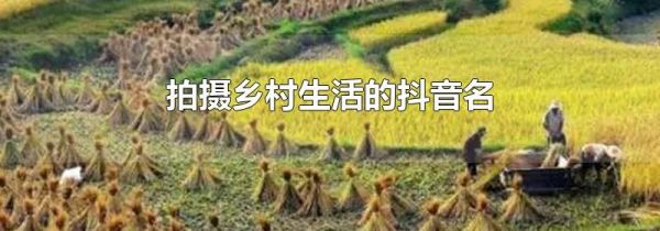 拍攝鄉(xiāng)村生活的抖音名