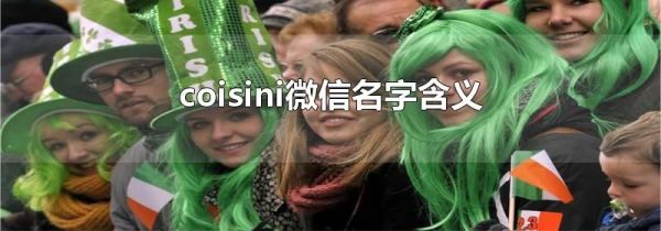 coisini微信名字含義