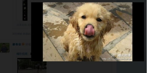 騰訊微博怎么轉(zhuǎn)播和評論