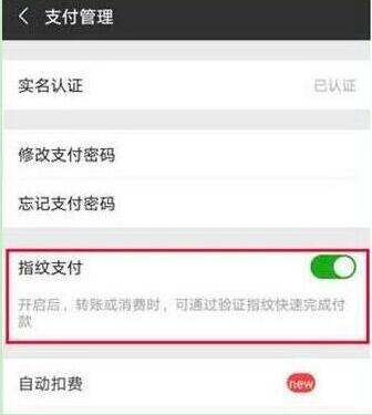 榮耀10青春版設(shè)置微信指紋支付具體操作流程