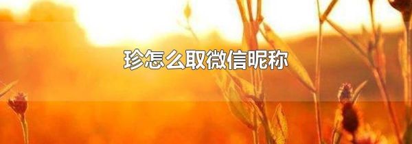 珍怎么取微信昵稱