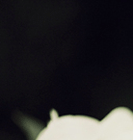 qq名片照片墻八組圖怎么弄 手機qq名片八組圖制作方法