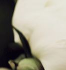 qq名片照片墻八組圖怎么弄 手機qq名片八組圖制作方法