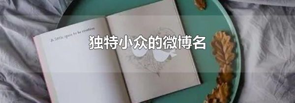 獨(dú)特小眾的微博名