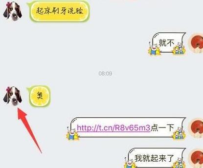 QQ打開鏈接必成狗頭像怎么回事 QQ為什么突然變成狗頭像
