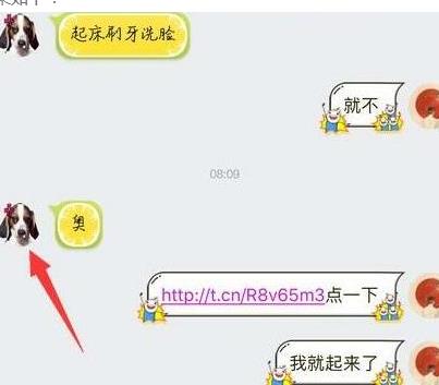 QQ頭像變成狗怎么辦 QQ點開鏈接變成狗頭像解決辦法