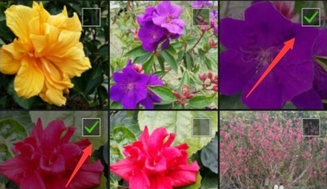 空間說說怎么同步到微信朋友圈2016