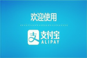 支付寶螞蟻積分守護寶貝計劃是什么 守護寶貝計劃怎么加入