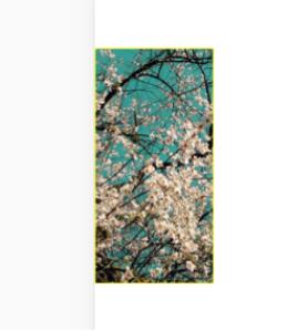 vue實現點擊翻轉效果