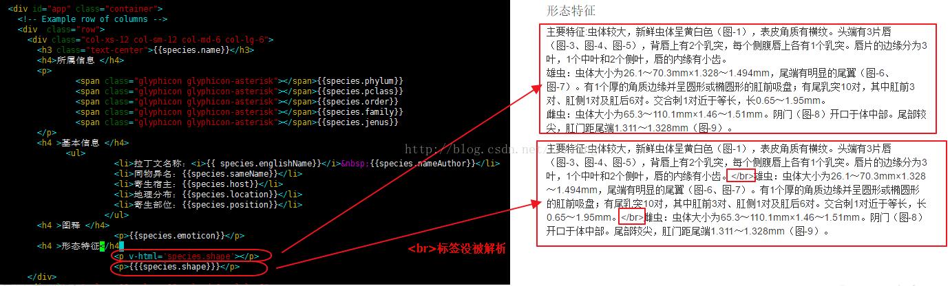 解決Vue大括號(hào)字符換行踩的坑