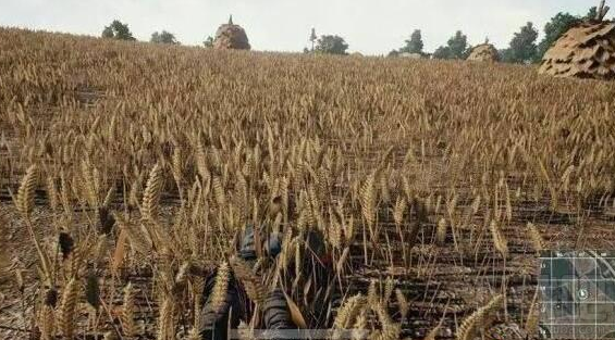 win 10絕地求生跳傘卡頓怎么辦？是配置問題嗎？