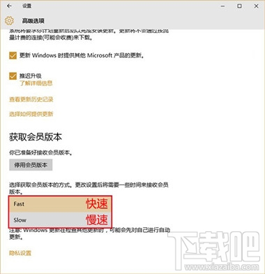 win10預(yù)覽版怎么升級(jí)正式版 win10預(yù)覽版升級(jí)正式版