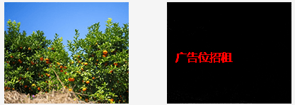 vue中使用帶隱藏文本信息的圖片、圖片水印的方法
