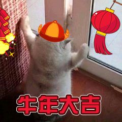 Springboot居然可以設置動態的Banner(推薦)