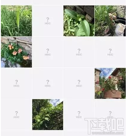 Win10查看不了HEIC圖片格式怎么辦？iOS 11圖片問題解決教程