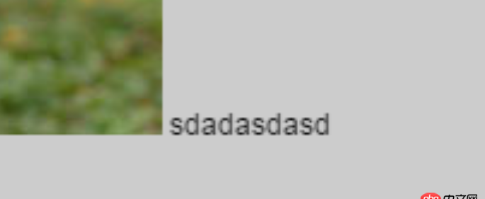 頁面用CSS3的scale屬性進行了縮放，圖片模糊解決不了，那么字體能否讓它們不模糊呢？