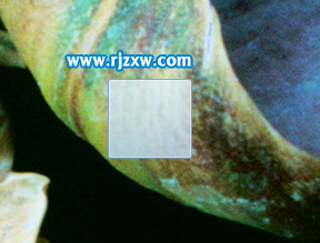 介紹win7的透明文件夾創建方法