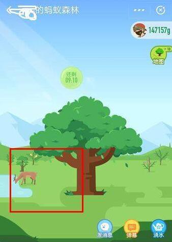 支付寶App螞蟻森林領取小鹿的詳細操作步驟