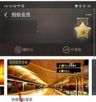 支付寶行走積分賽地點介紹 支付寶行走積分賽在哪里看
