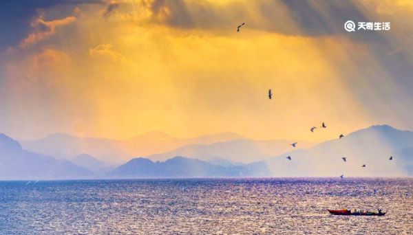 高雅有內(nèi)涵的微信名字 女微信名字優(yōu)雅