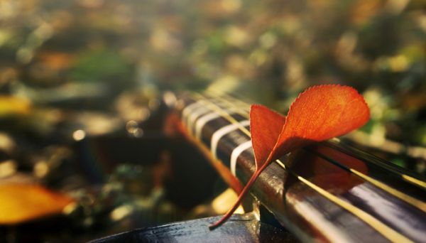 早上吸引朋友圈的句子 適合早上發朋友圈的句子