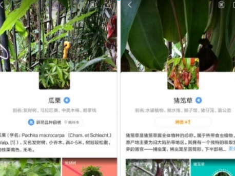 QQ瀏覽器掃一掃的作用是什么？ QQ瀏覽器掃一掃功能詳情介紹！