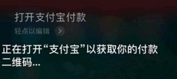 支付寶App怎么使用語音支付_詳細(xì)操作步驟
