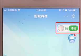 支付寶APP螞蟻森林申請(qǐng)種樹的詳細(xì)操作步驟