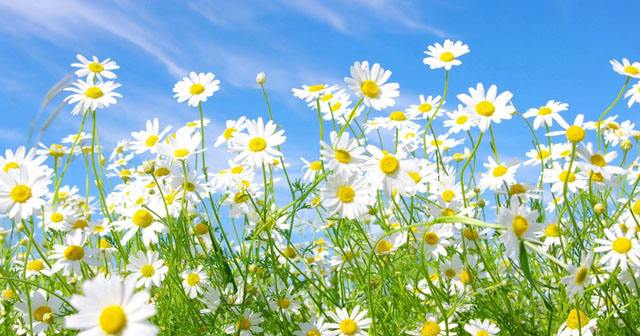 淘寶健康值如何查看？ 淘寶健康值開啟攻略詳情介紹！