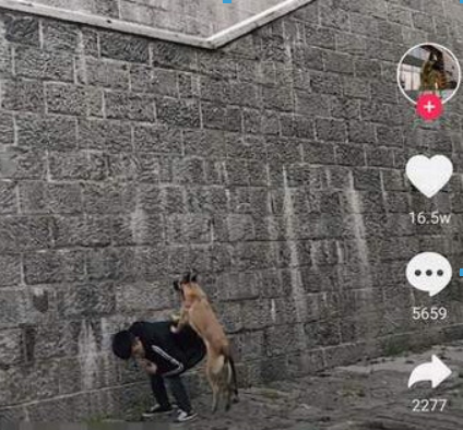 抖音漫畫光頭和尚特效如何拍攝？ 很火的光頭和尚拍攝教程解答！